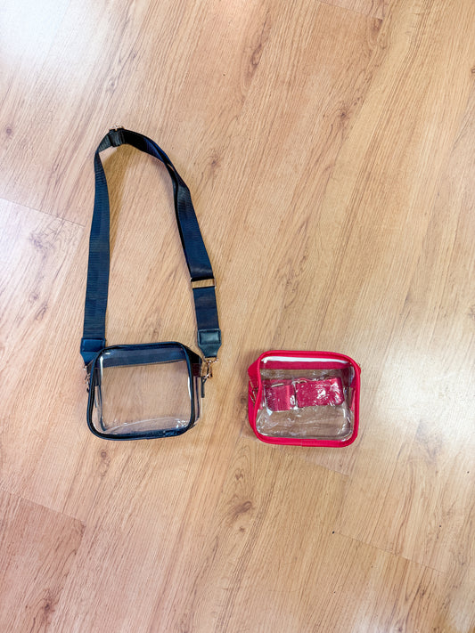 Clear Purse